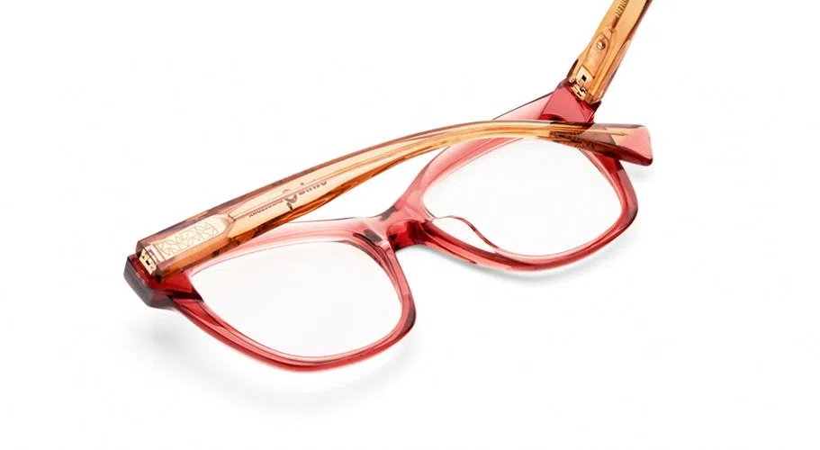 Etnia Barcelona NENUFAR Eyeglasses - view 16